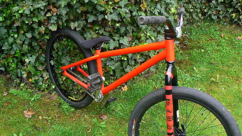 Afbeelding