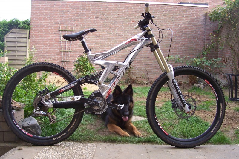 Afbeelding